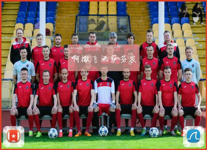 阿联酋国家队备战亚洲杯集训名单公布后续看点引关注