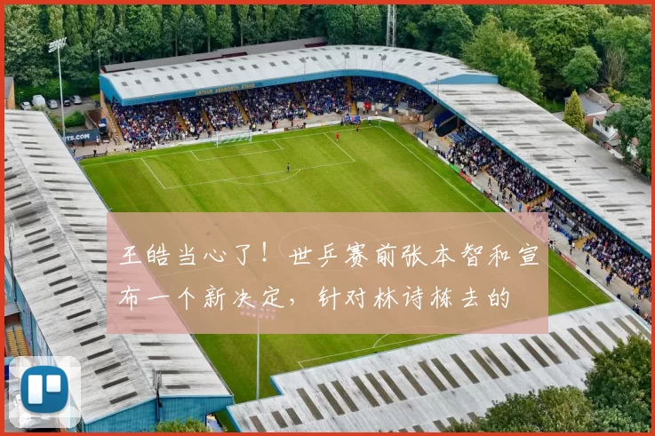 王皓当心了！世乒赛前张本智和宣布一个新决定，针对林诗栋去的