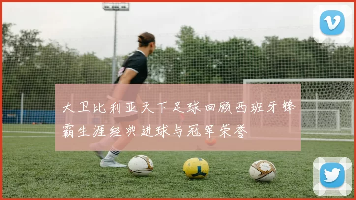 大卫比利亚天下足球回顾西班牙锋霸生涯经典进球与冠军荣誉