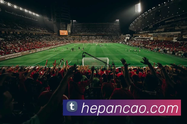 乐鱼在线最新官网服务体系